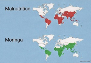MALNUTRITION MAP  2- HANK BRUCE